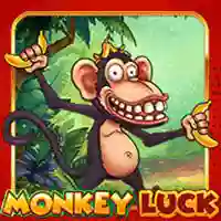 Monkey Luck